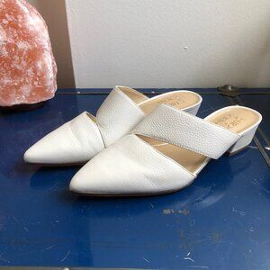 Naturalizer Pointed Toe Flats